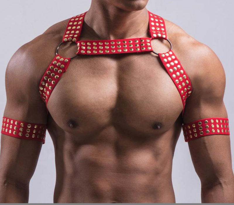 ASHBURN GRIP™ – Studded Dominance Chest Harness