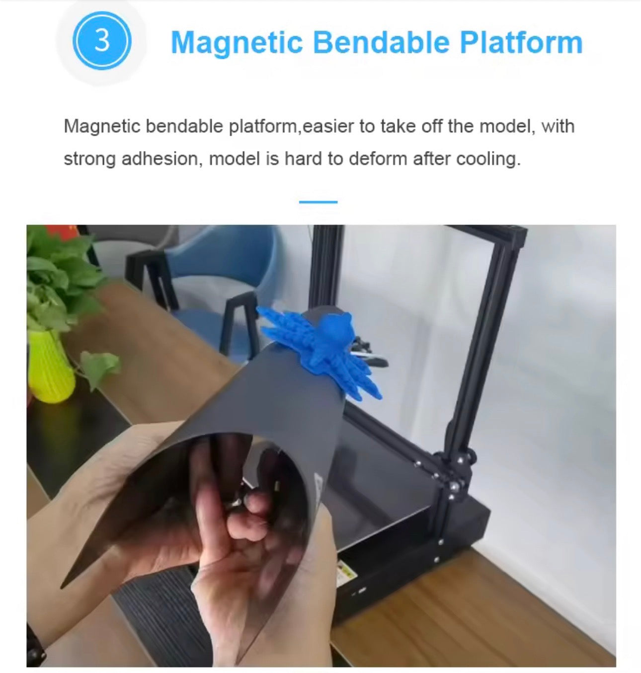 P2 3D Printer (delivered February)