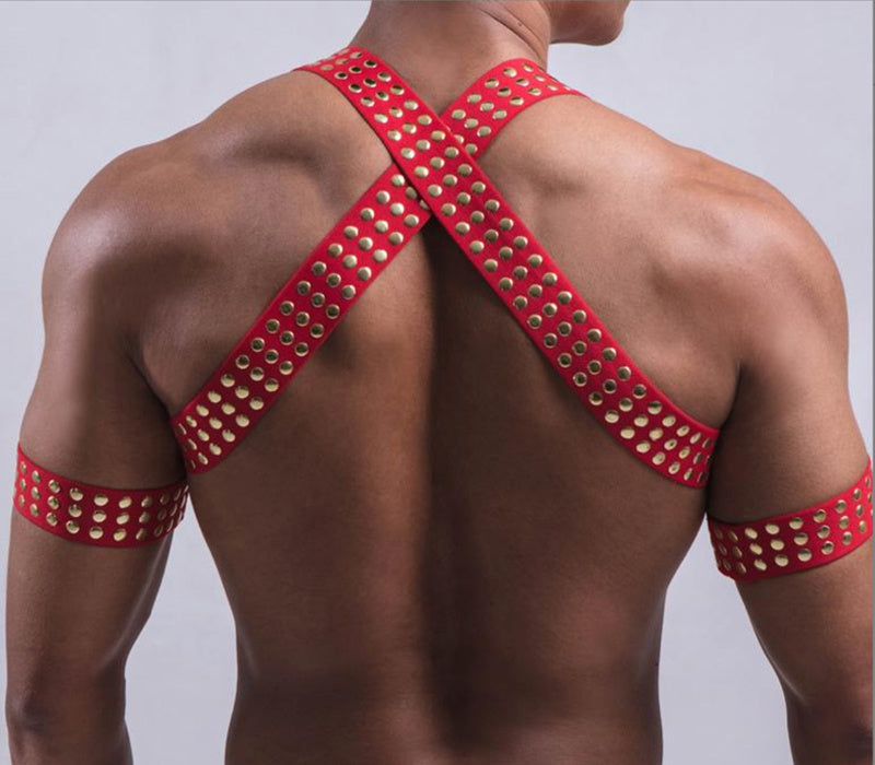 ASHBURN GRIP™ – Studded Dominance Chest Harness