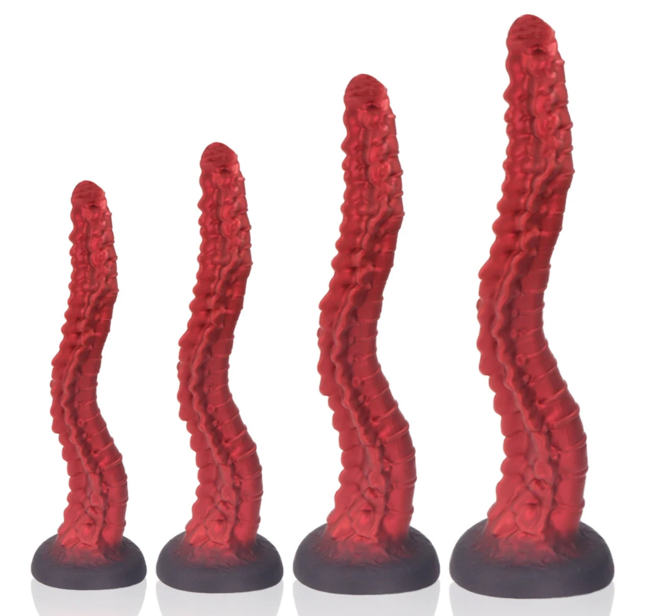 ASHBURNS S-XL Long with Strong Suction Cup Spine Long bone white and Crimson red