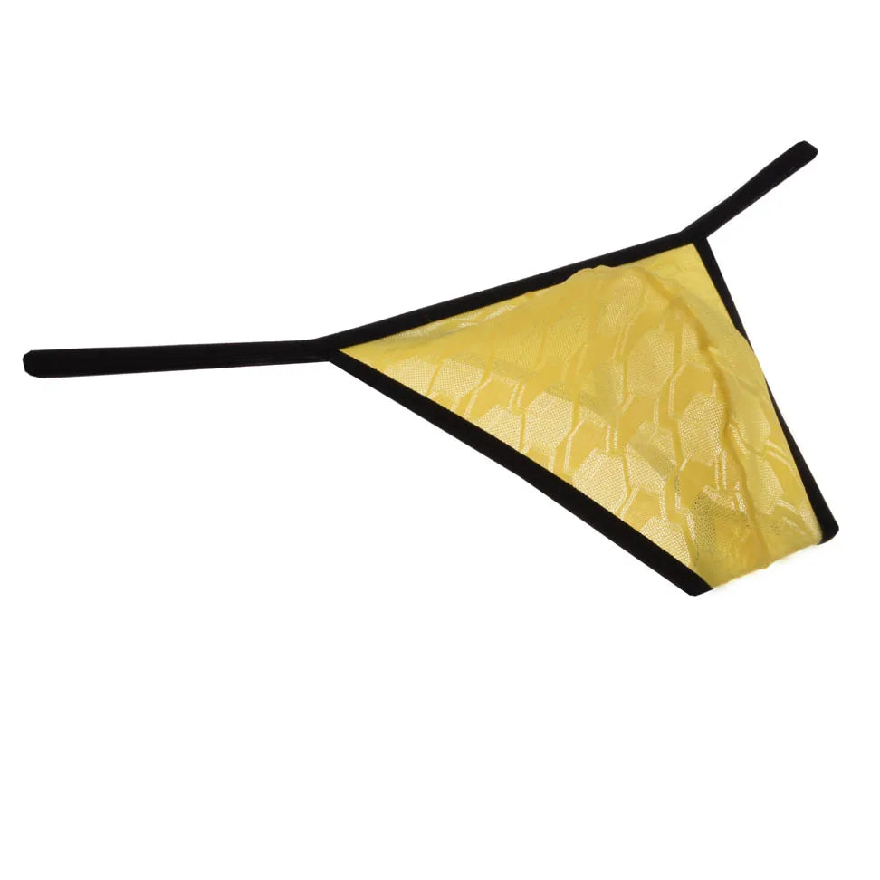 Men's Sheer Lace Bikini Briefs See-through Thong String Underwear Male G-string Micro Tangas Bulge Pouch Posing Low Rise Beach
