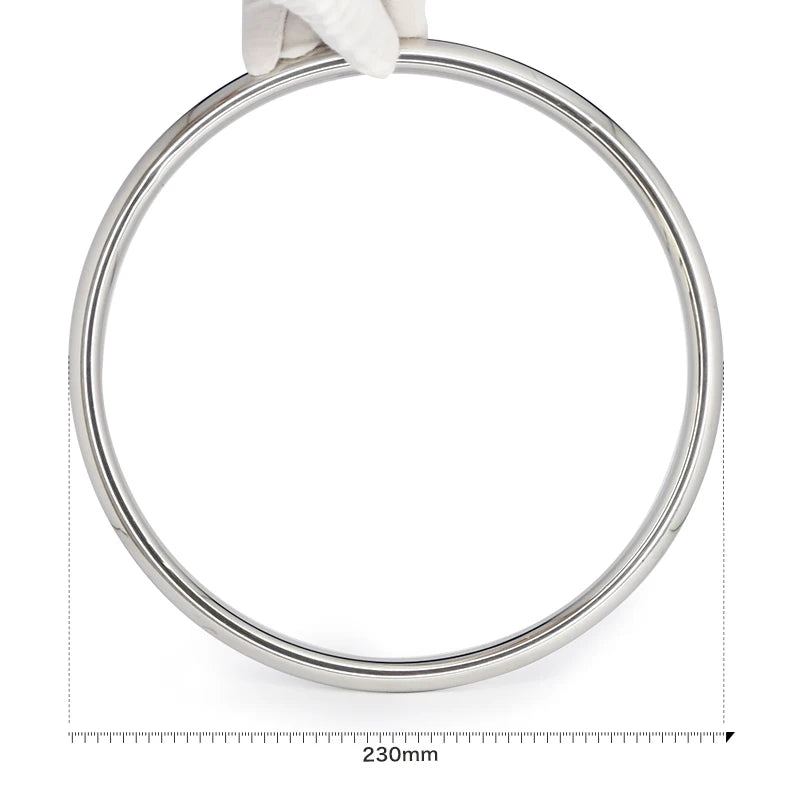 Silver/Rainbow Stainless Steel Basic Japanese Shibari Ring Suspension Bondage Gear Accessories BDSM Game Sex Toys for Couples