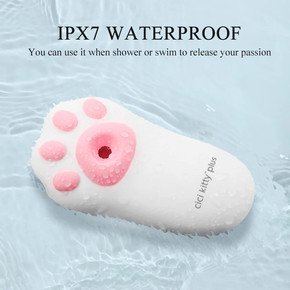 ASHBURN KITTY PLUS 6speeds