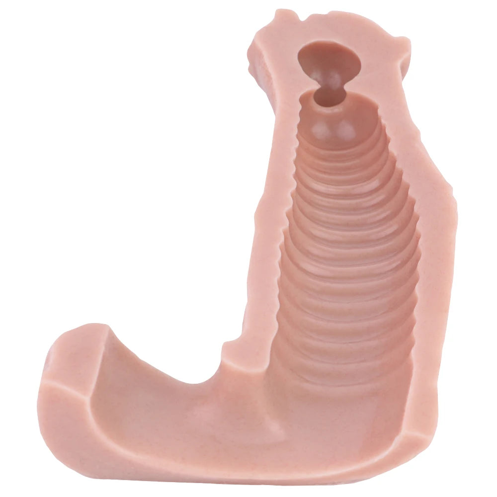 ASHBURN Fantasy STALLION Penis Sleeve closed Head Silicone BEAST Knot Hollow Dildo Cock Extender Enlargement Sex Toys For Men Masturbate