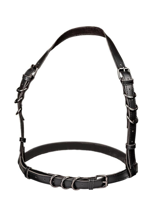 CalExotics Euphoria Plus Size Halter Buckle Harness