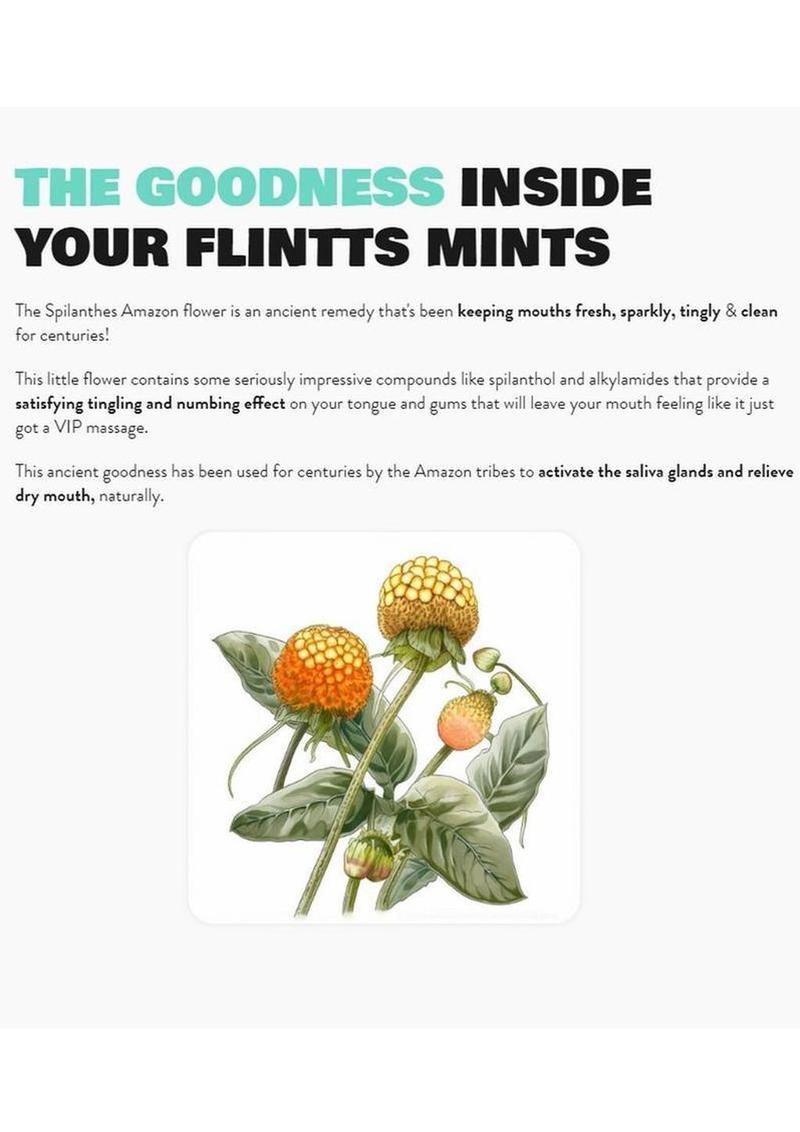 Flintts Strawberry Magic Mouth Watering Mints